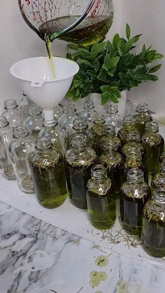 Maceramos el aceite