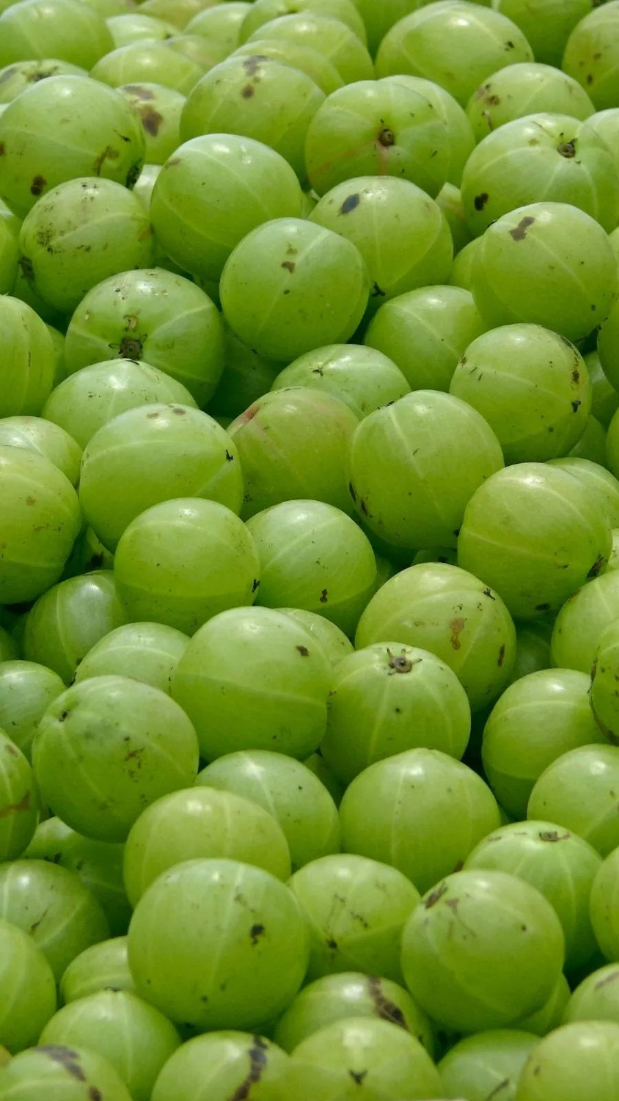Amla